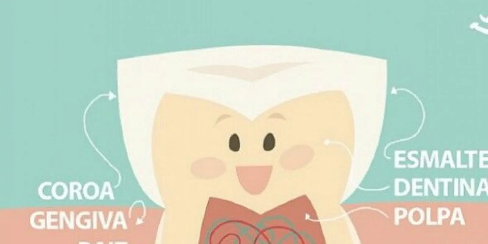 Dente de leite tem raiz? e Canal?