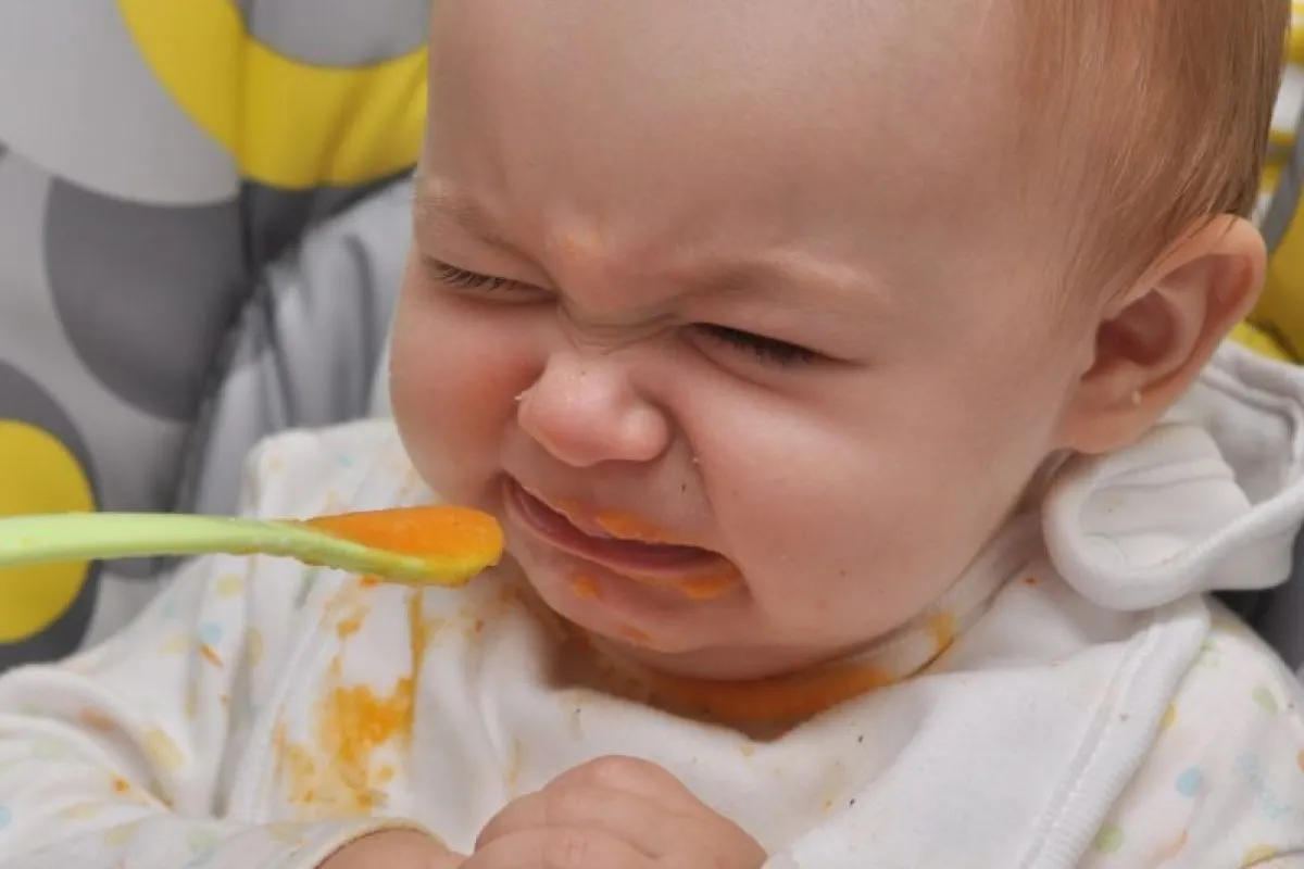 sopa de careta