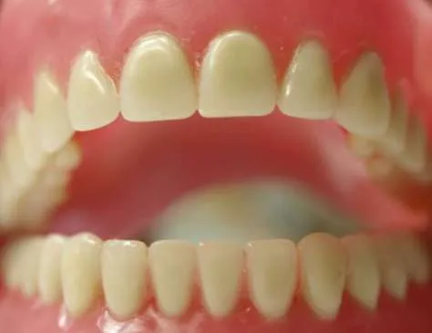 importância dos dentes